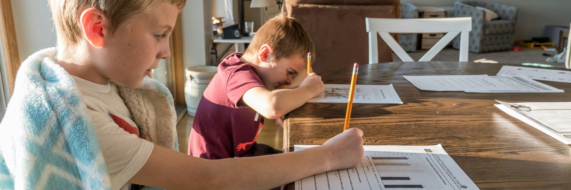 {altText}